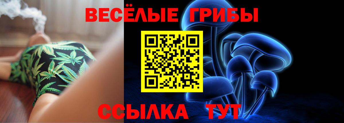 продажа наркотиков  Вход с VPN  Егорьевск  Псилоцибиновые грибы ЛСД 